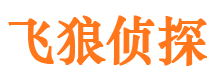 金山屯市调查公司